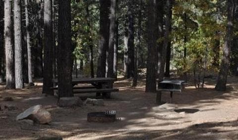Naturally Shaded Picnic Tables, Fire Ring and BBQ Grill at Pineknot Campground