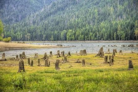 Bumping Lake Campground