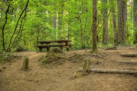 Moss Creek campground