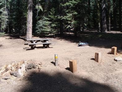 UPPER BILLY CREEK Campsite picnic table