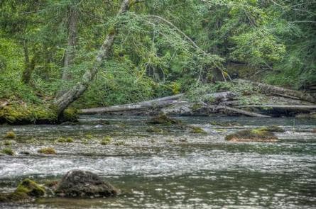 Adams Fork Campground
