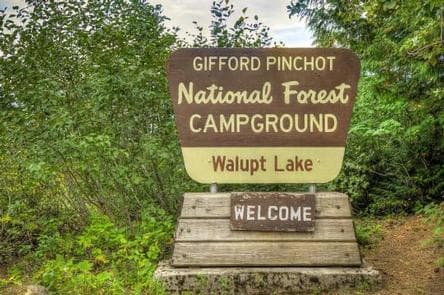 Walupt Lake Campground