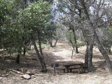 FRY CREEK CAMPGROUND