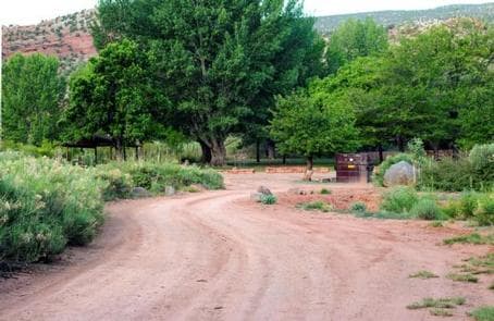 A dirt road. There are dumpsters at the end of the road. There is desert fauna off to the right side of the road. There are many trees in the background.