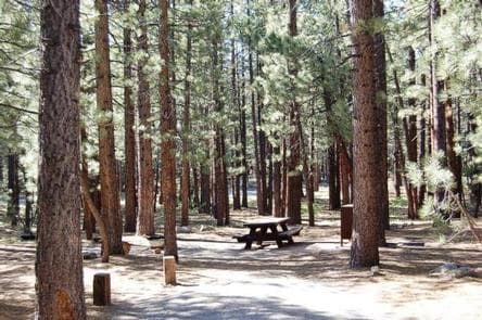 OLD SHADY REST CAMPGROUND