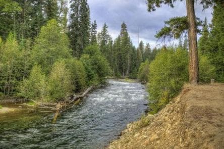 CEDAR SPRINGS CAMPGROUND (WA) 