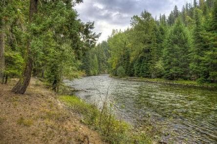 Soda Springs Campground (Bumping River, WA)