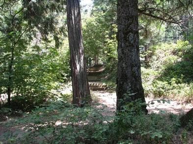 BRIDAL VEIL GROUP AREA AND PICNIC GROUND