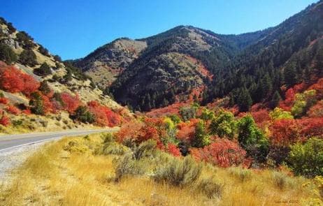 BLACKSMITH FORK GUARD STATION
