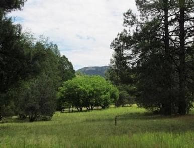 REYNOLDS CREEK GROUP CAMPGROUND
