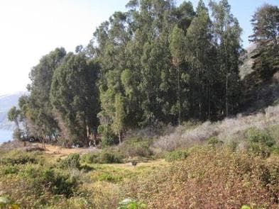 KIRK CREEK CAMPGROUND -----