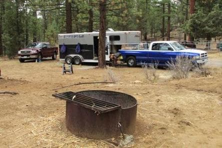 WILD HORSE EQUESTRIAN FAMILY