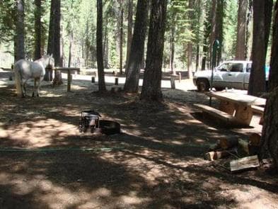 Horse Campground