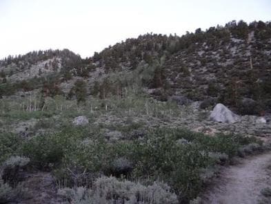 PALISADES GROUP CAMPGROUND