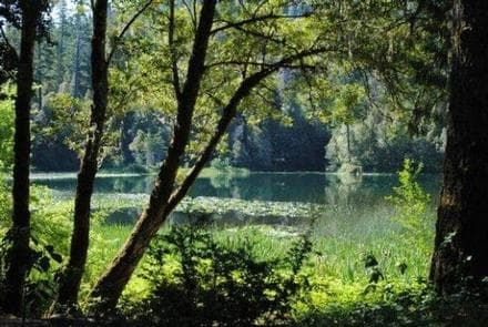 FISH LAKE CAMPGROUND