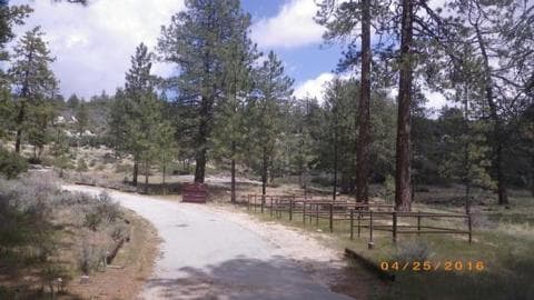 Bandido Group Campground