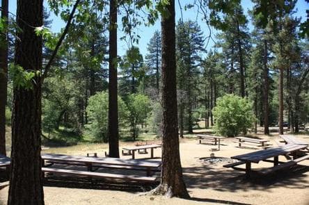 View from Buttercup Group Camp