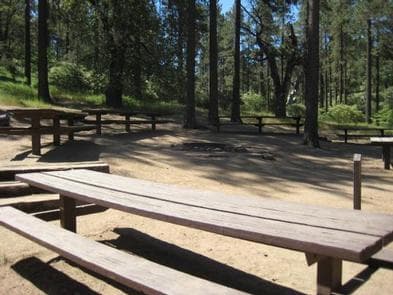 Picnic Table area at Buttercup Group Camp