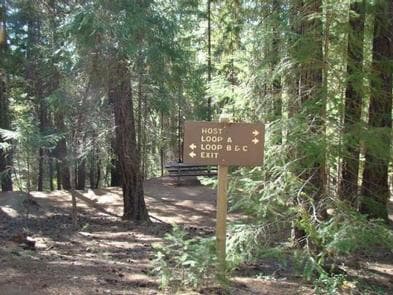 ALPINE VIEW CAMPGROUND4