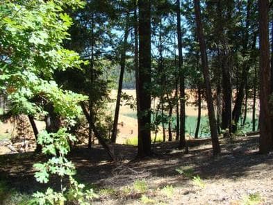 MINERSVILLE CAMPGROUND