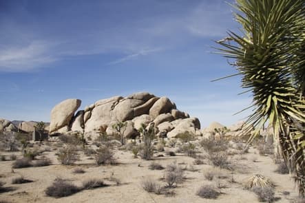 Belle Campground View