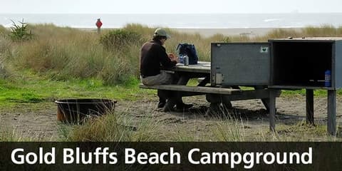 Gold Bluffs Beach campsite