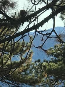 REYES PEAK CAMPGROUND