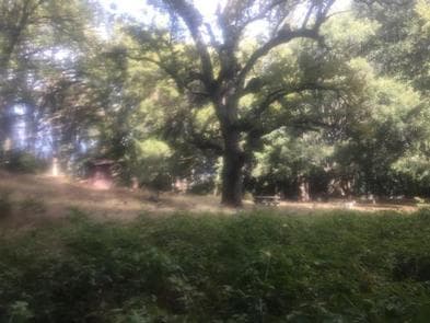 White Oaks Campground