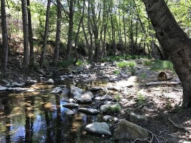 MIDDLE LION CAMPGROUND