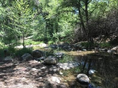 MIDDLE LION CAMPGROUND