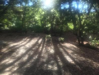 CHINA CAMP CAMPGROUND