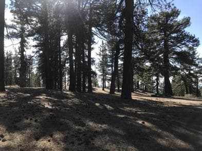 Campo Alto Campground