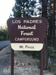 Mt. Pinos Campground