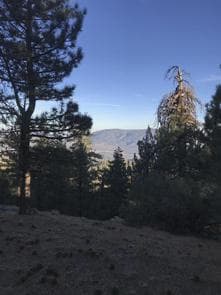 MT. PINOS CAMPGROUND
