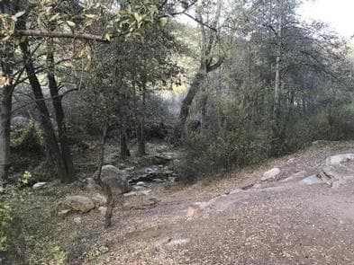 REYES CREEK CAMPGROUND