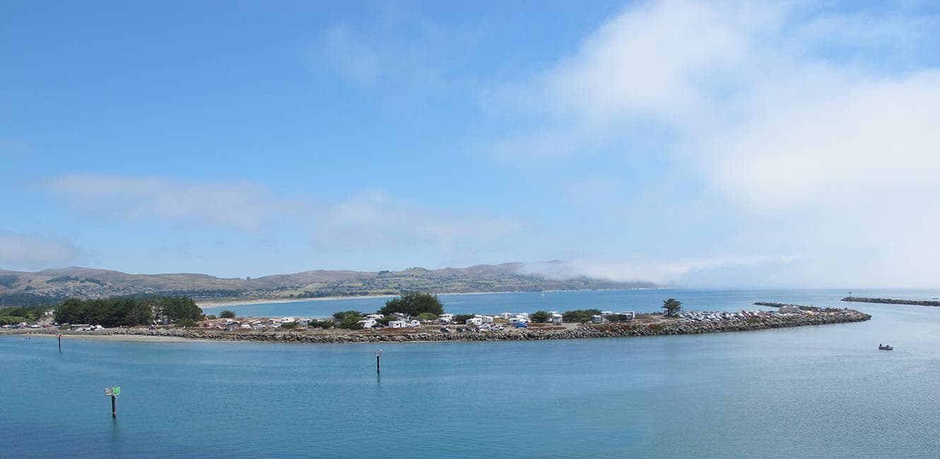 Bodega Bay