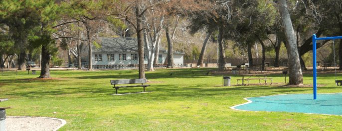 playground with green area