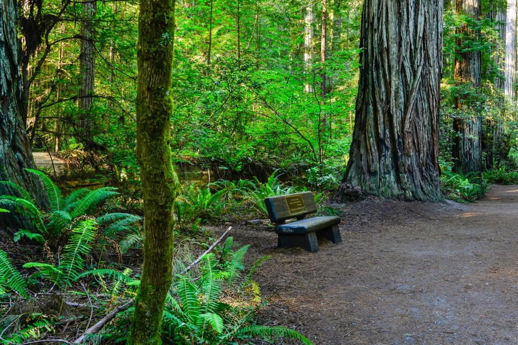 Outer Loop (sites 45-60 & 76-91) photo 4