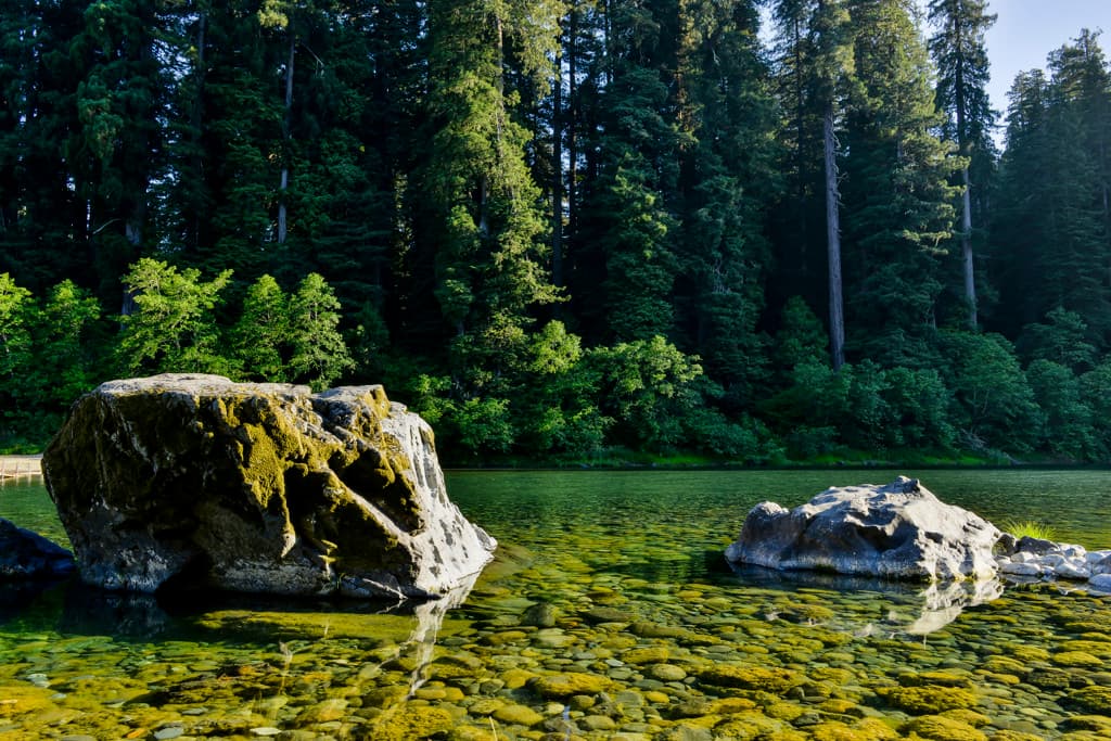 Outer Loop (sites 45-60 & 76-91) photo 2