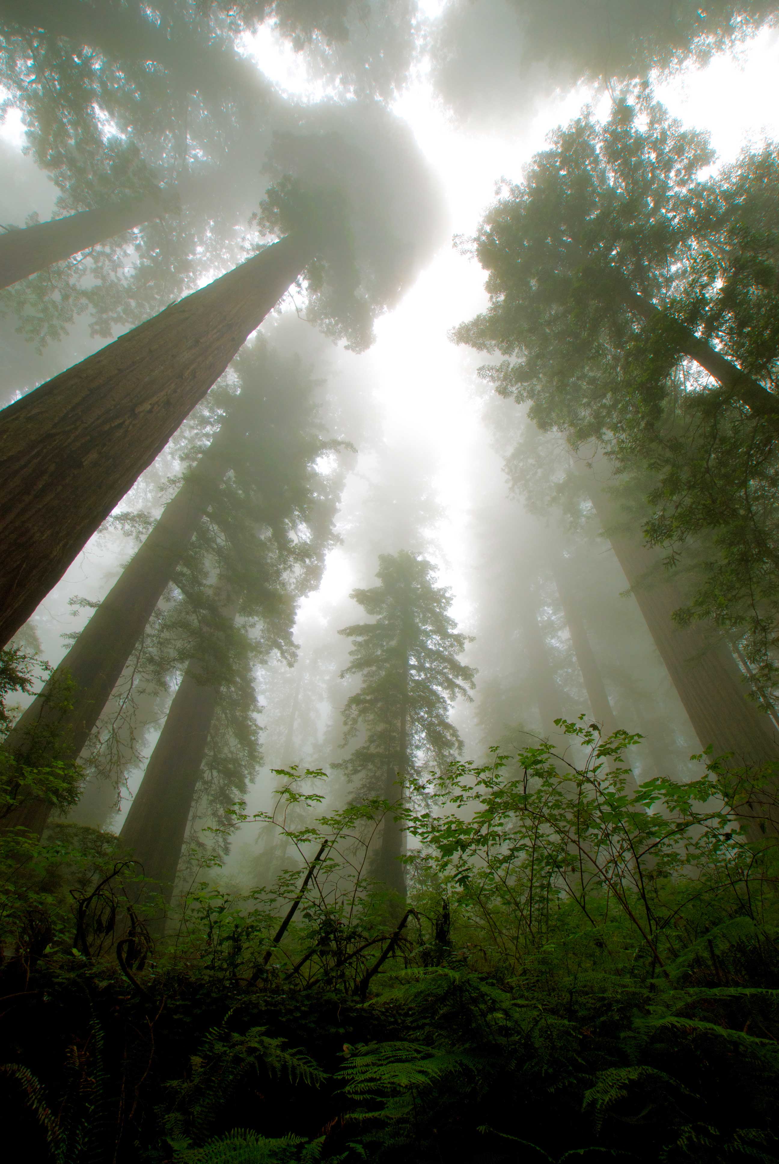 Mill Creek Southern Loop (sites 1-74) photo 7