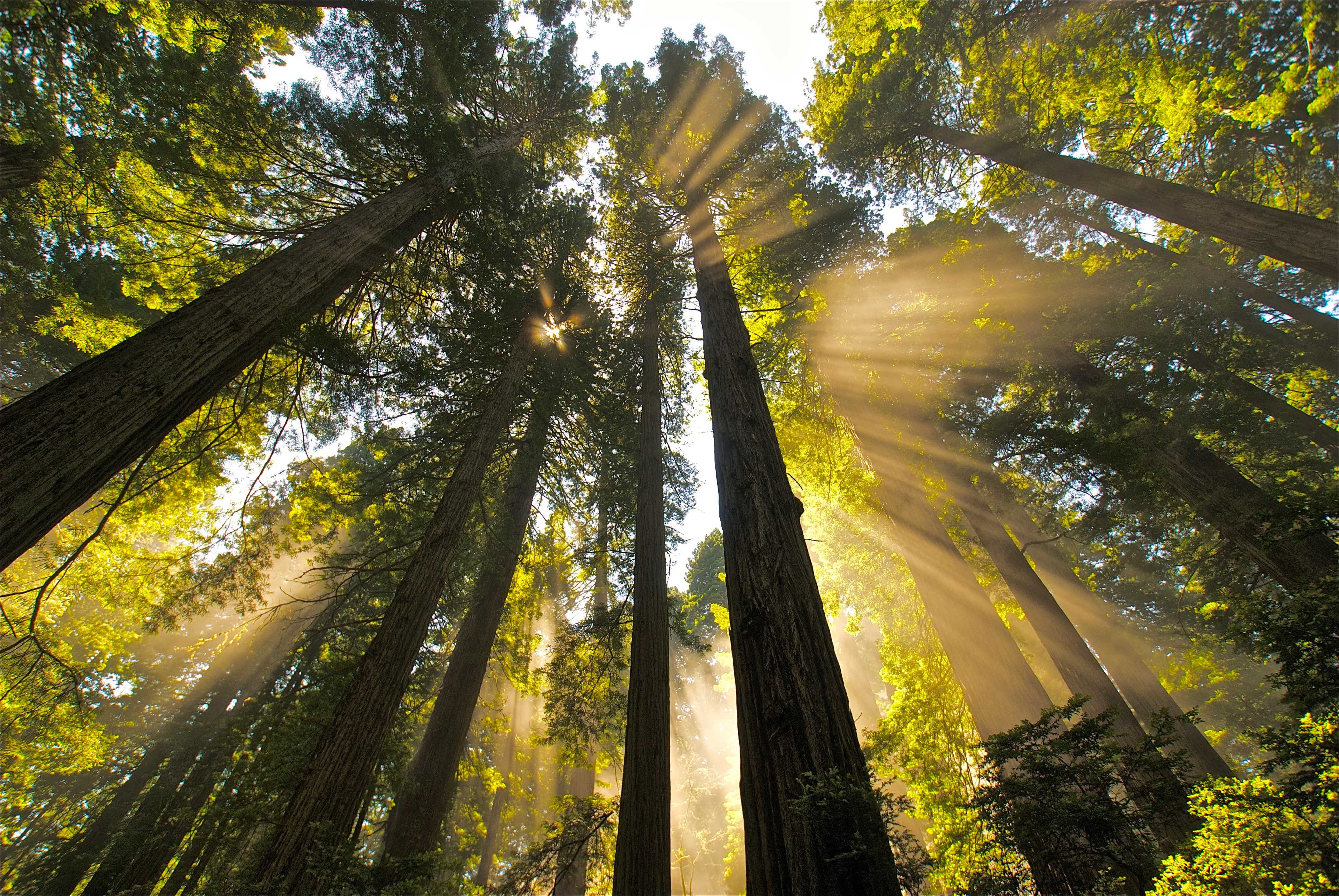 Mill Creek Southern Loop (sites 1-74) photo 6