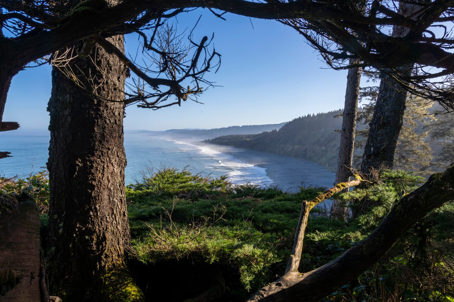 Group Camping Areas photo 5