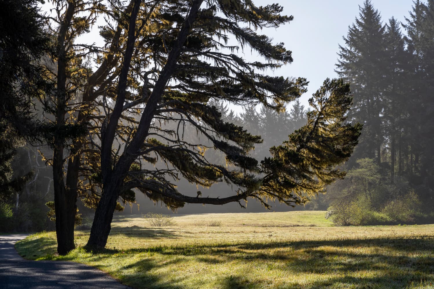 Group Camping Areas photo 4