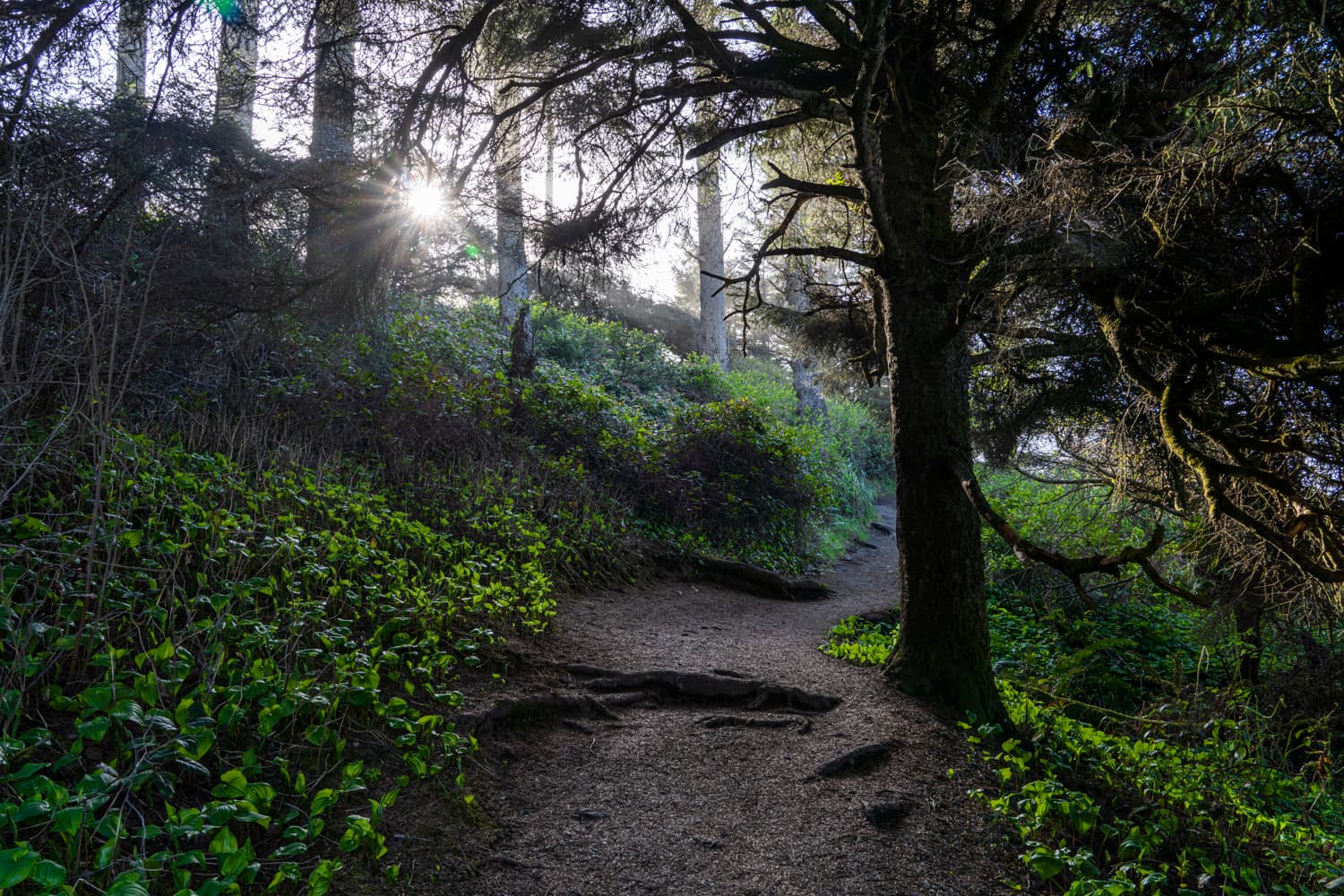 Group Camping Areas photo 3