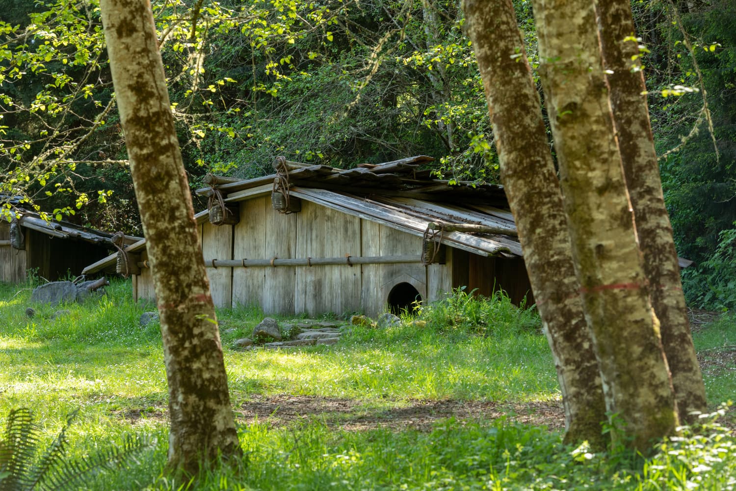 Abalone Campground (sites 16-85)