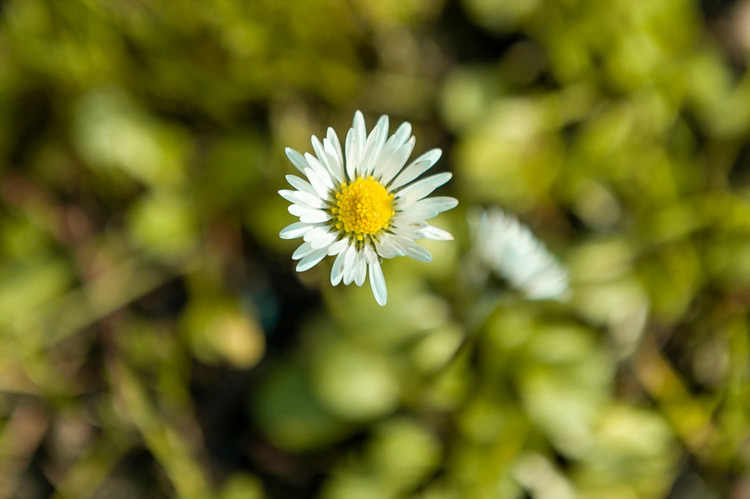 River Campground (sites 1-30) photo 4