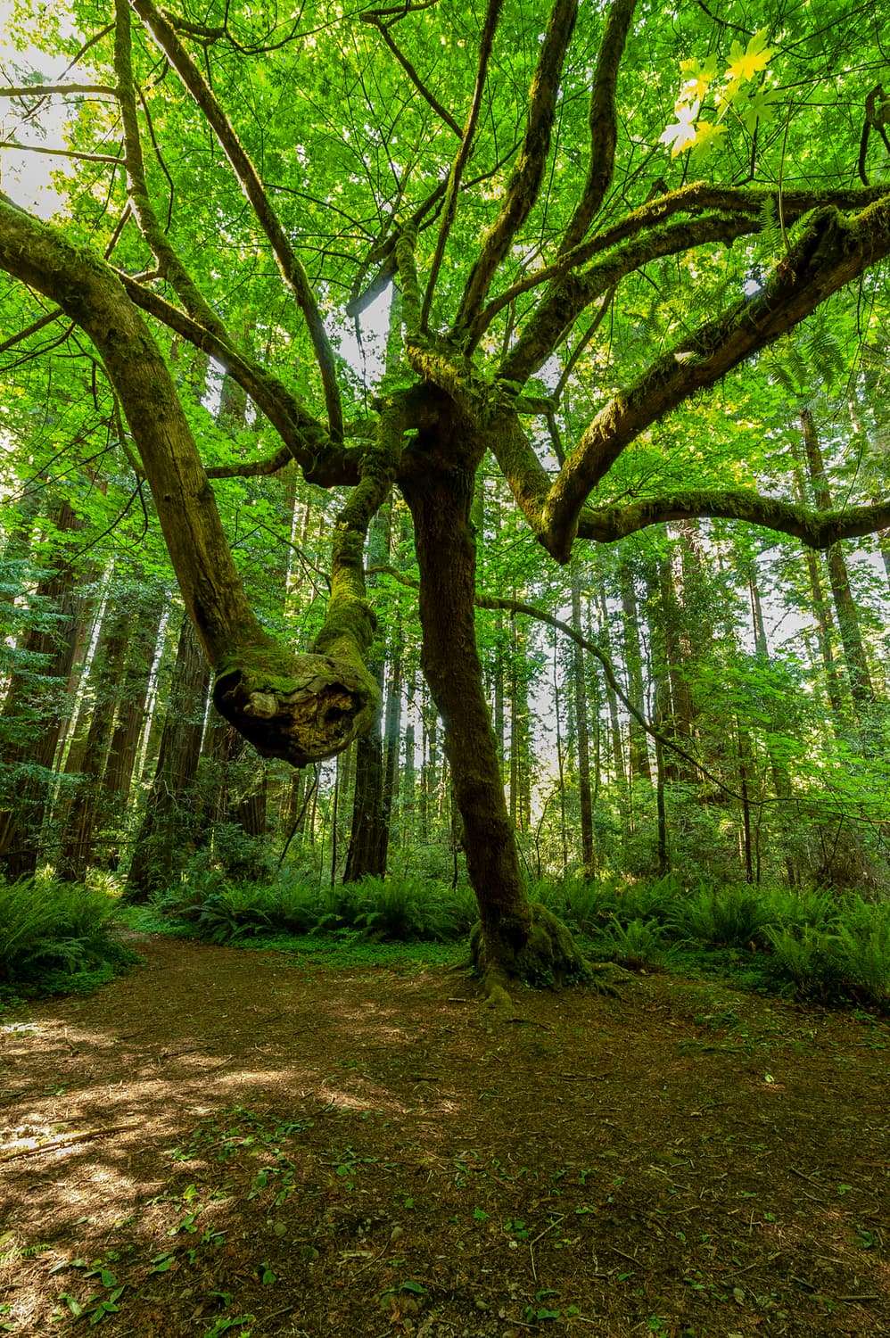 River Campground (sites 1-30) photo 3