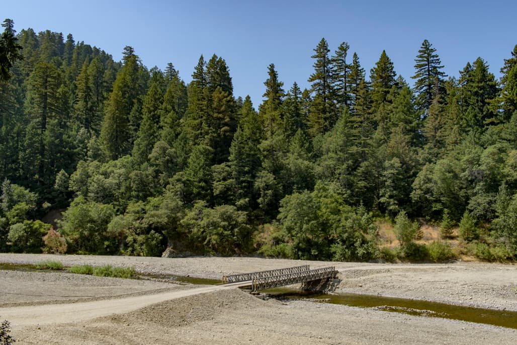 Dawn Redwood Group Area photo 7