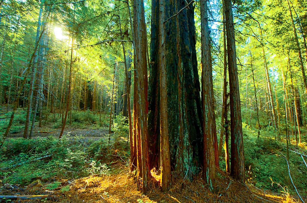 Hickey Campground photo 7