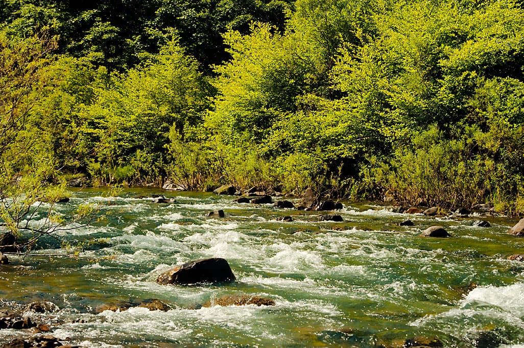 Hickey Campground photo 4